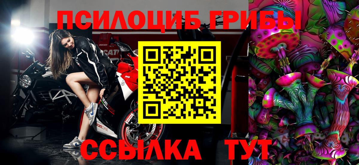 Якутск  Галлюциногенные грибы прущие грибы  наркота  Вход с VPN 